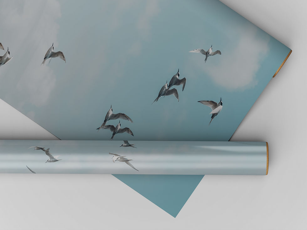 Thumbnail: Taking Flight