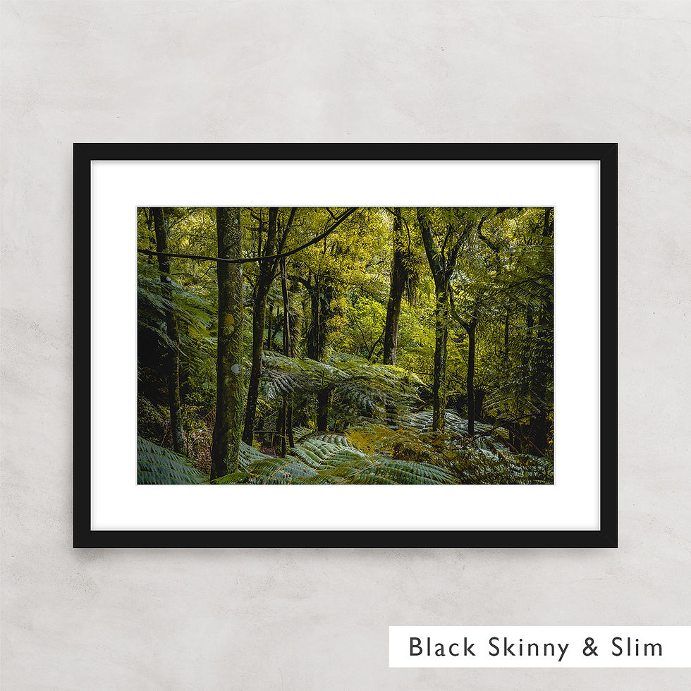 Thumbnail: Woodlands #1 (Framed)