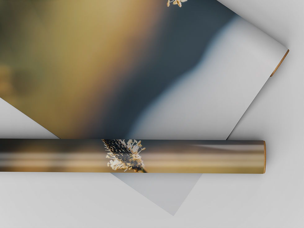 Thumbnail: Harmony