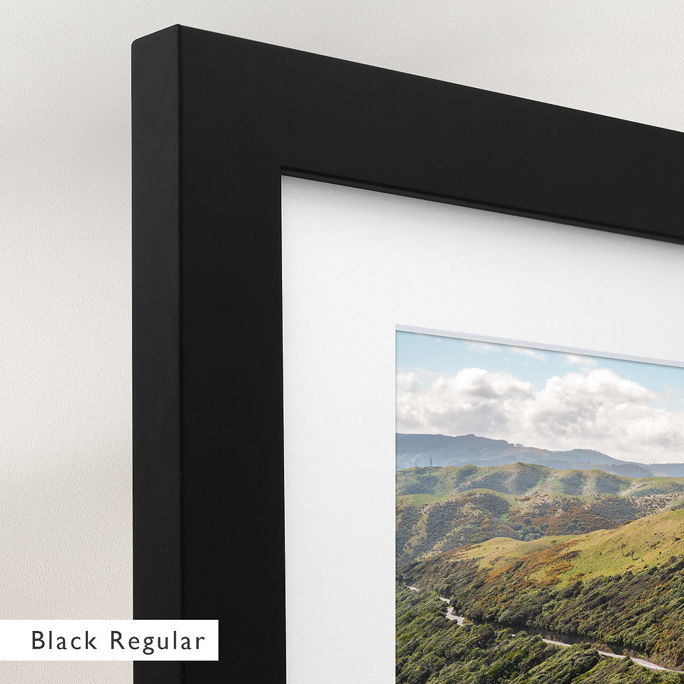 Thumbnail: Paekakariki Hill Road (Framed)