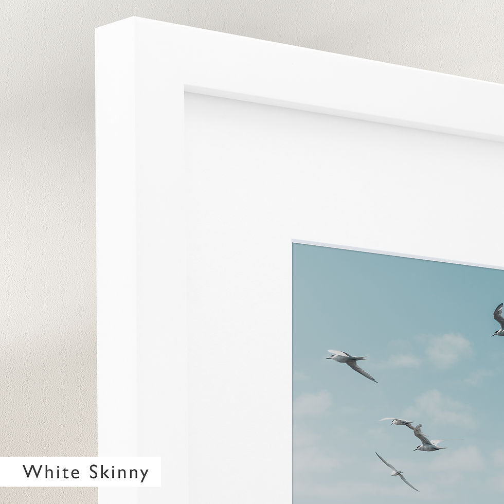 Thumbnail: Taking Flight (Framed)