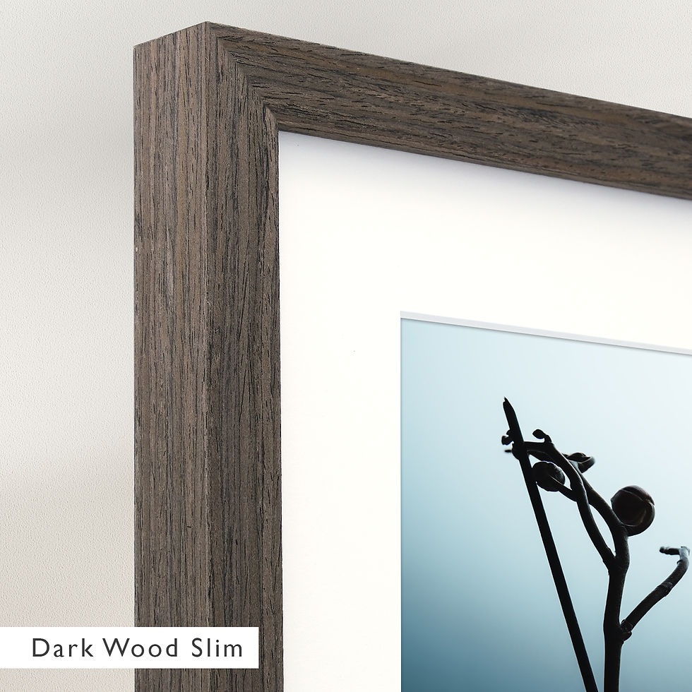 Thumbnail: Blue World (Framed)
