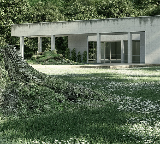 Villa Giardino Finale_calda.jpg