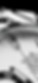 Rendering Prodotto - Rendering Orologeria