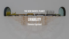 "Livability": An Essay by Simona Capisani (Keywords: Climate Change; Justice; Territory; Mobility)