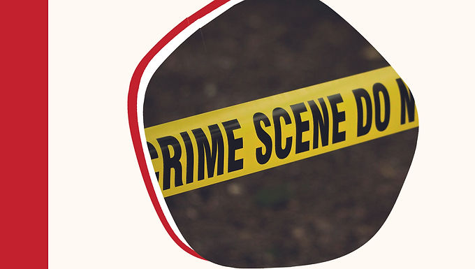 FORMULARIOS PRACTICA FORENSE DE LA ABOGACÍA EN EL PROCESO PENAL TOMO II