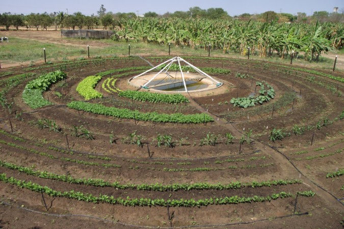 Hortas circulares complementam renda de famílias do Norte e Nordeste de Minas