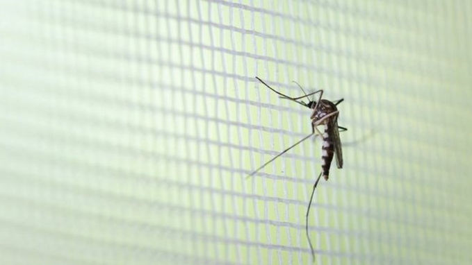 Minas Gerais registra a primeira morte por dengue em 2020