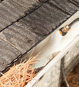 istockphoto-175254348-612x612.jpg
