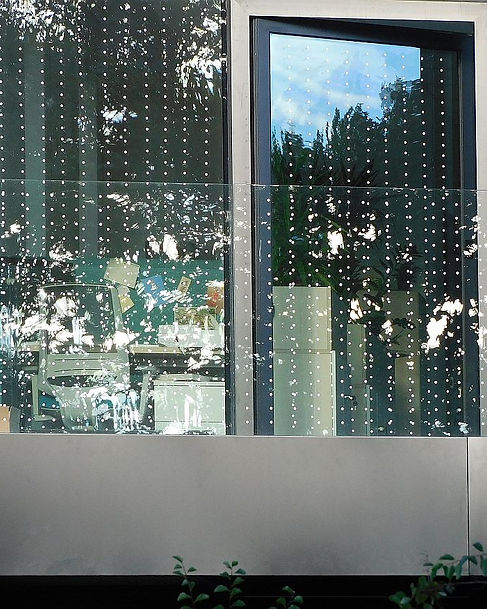 bird strike Custom Prints and Design