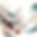 about me background.png