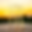 Photoroom-20241011_132942.png