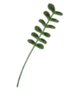 Eucalyptus - Felt Flower