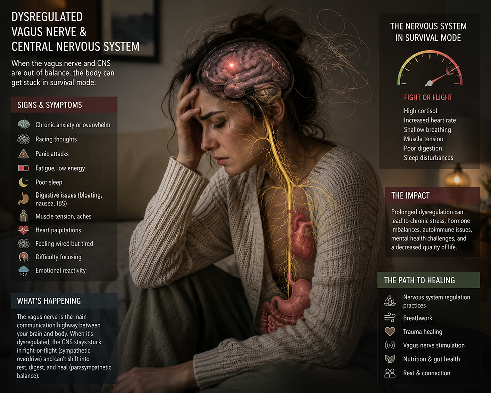 Healing the Nervous System From the Inside Out: When Relationships & Environments Make You Sick (PART 1)