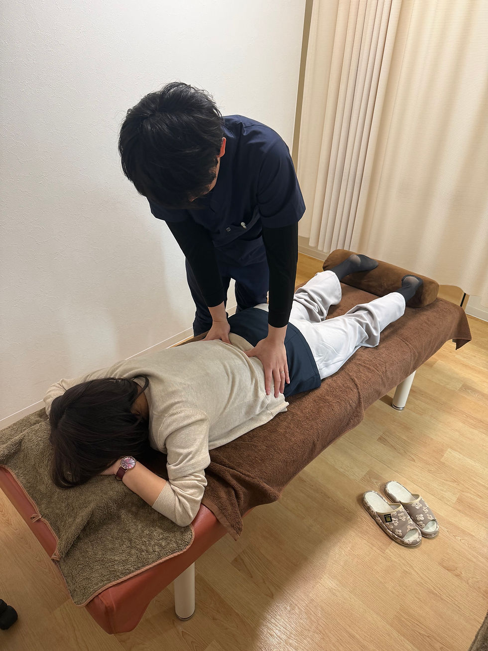 腰痛改善は可動域から 灘区の整体院が教える根本ケア