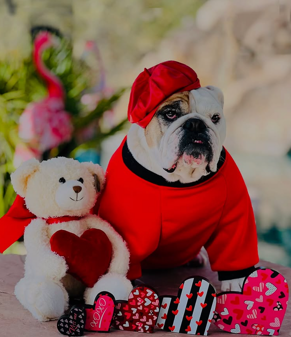 Screenshot 2025-06-13 at 9.18.54 PM.png