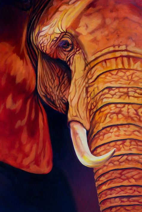 Elephant.jpg