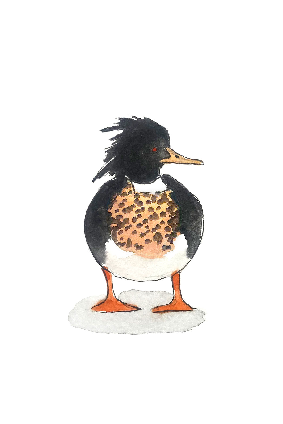 Red-breasted Merganser