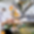 Frozen Food Manufacturing