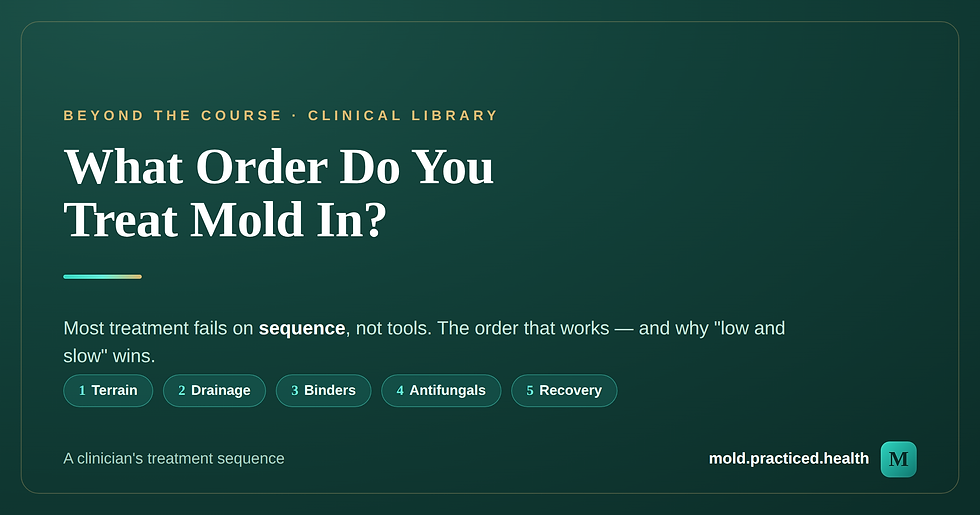 What Order Do You Treat Mold In? A Clinician's Treatment Sequence