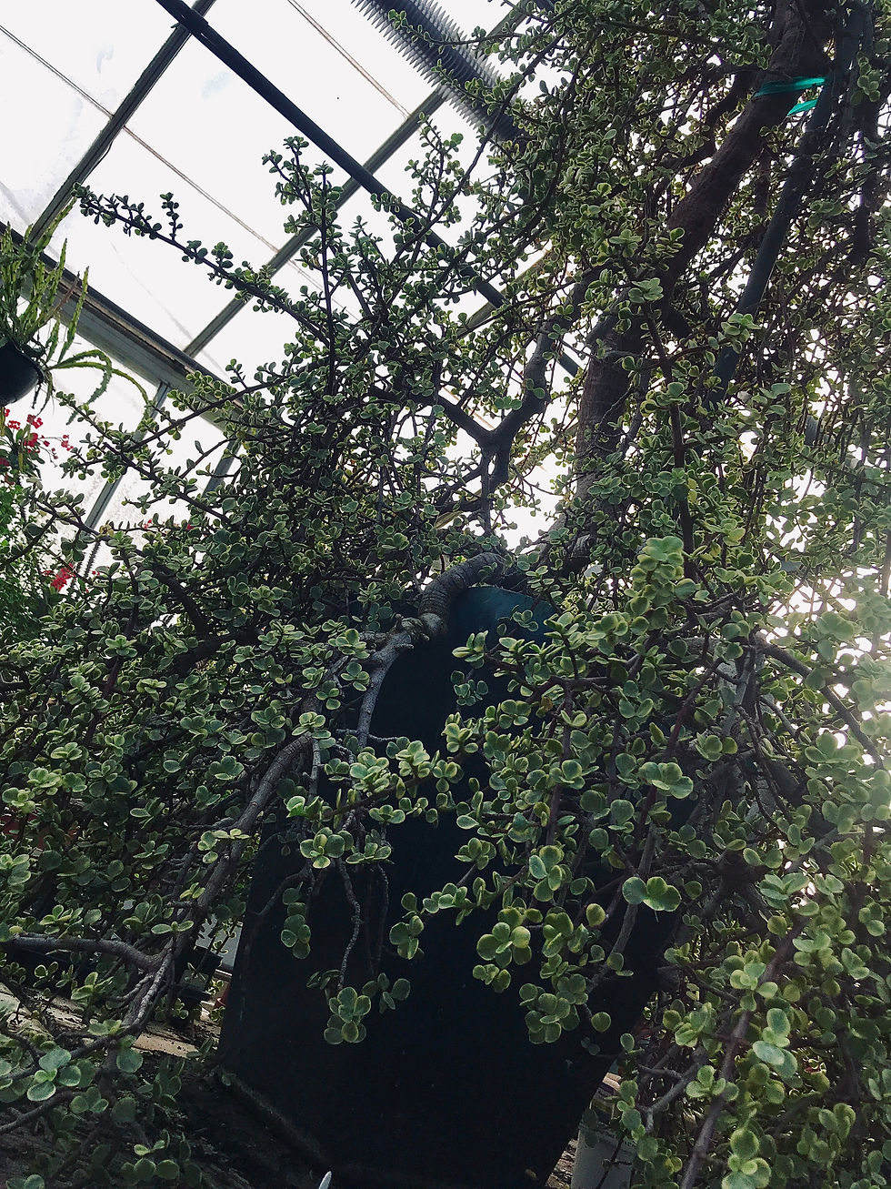 File_024