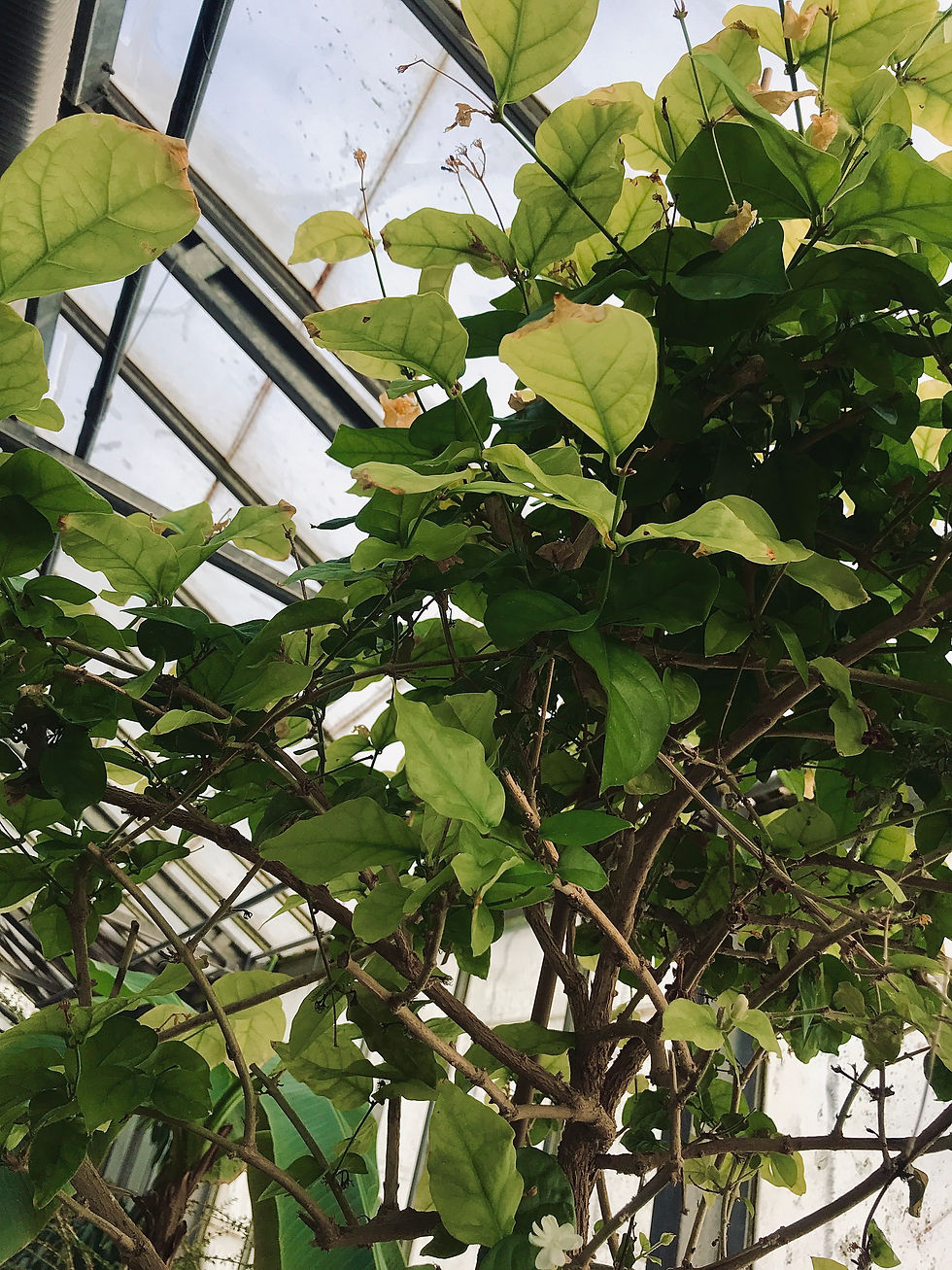 File_028