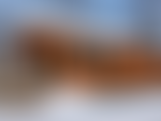 What Makes an Adirondack Cabin Feel Authentic? - AWP Cabins blog hero image