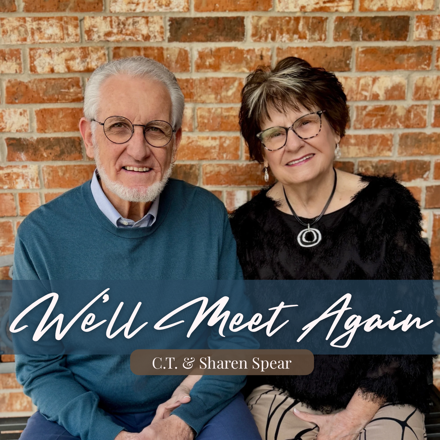 We'll Meet Again - Download
