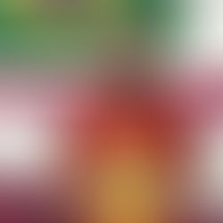 EDUARDO GUERRA é campeão metropolitano