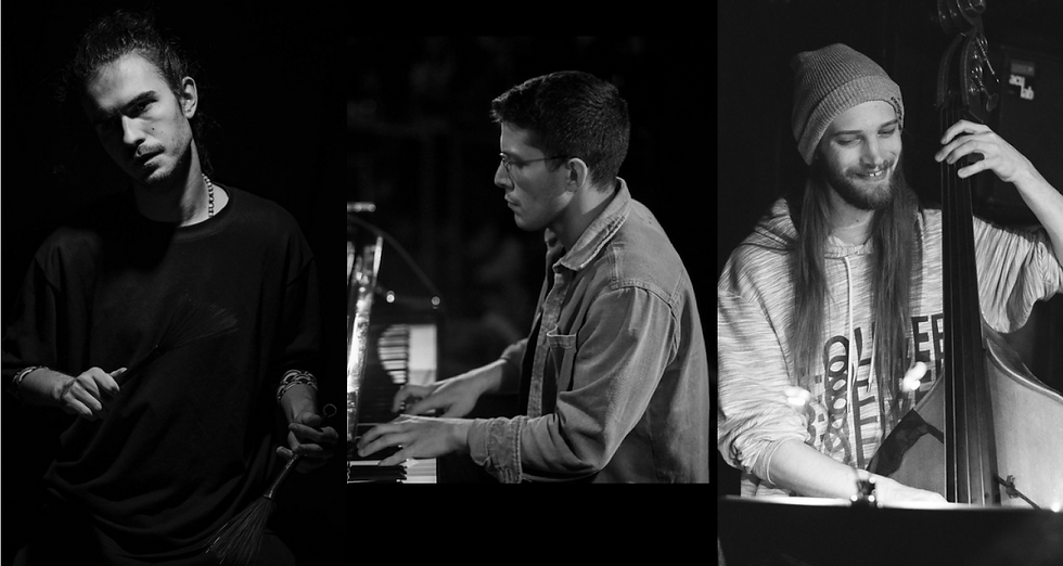 Bellini/Kirchner/Dolliner Trio