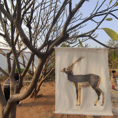Rajasthan