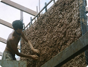 Mask groupecologia_-1.png