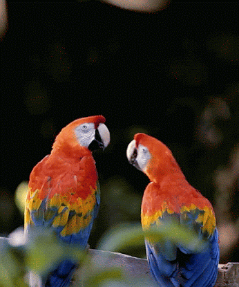 Things To Do List - Puerto Rico