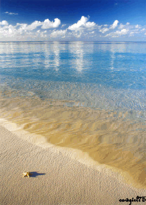 Beaches of Puerto Rico