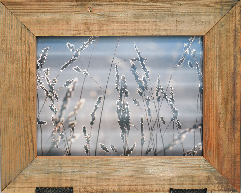 Rustic Nature Art Abstract Golden Grasses Front View