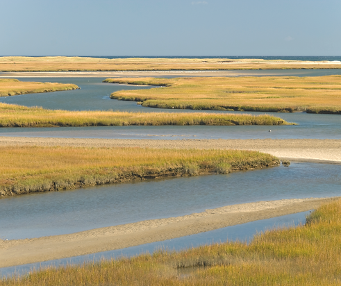 Untitled design - 2025-05-27T001644.023.png