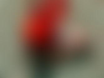 La espiritualidad no es una moda, es una necesidad