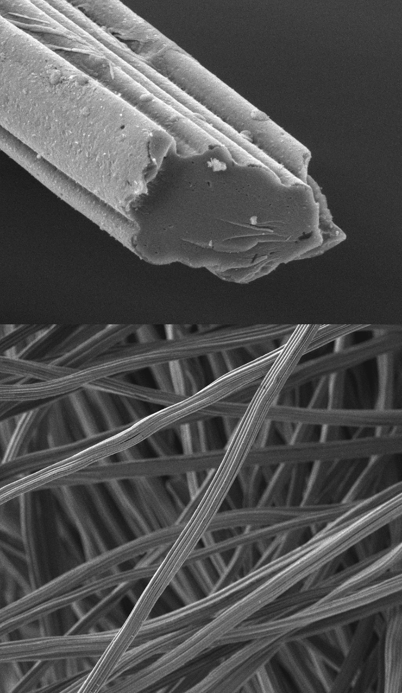 Two electron microscope images of biochar microfibres: a close-up of the end of a single grooved fibre, and a mat of many fibres.