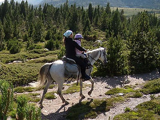 Balade à cheval en Cerdagne - Capcir - Haut Conflent