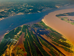 Amazônia: Greve pelas Águas – Ativistas mobilizam-se em prol do Encontro das Águas