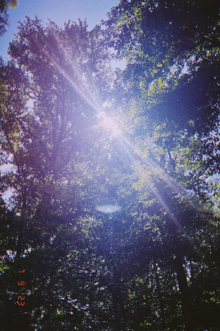 5675D61D-3D01-478E-8FDE-4EF2E177FF80_1_105_c.jpeg