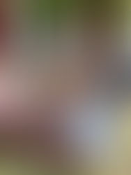 Can Targeted Funding Formulas Improve Student Academic Performance?