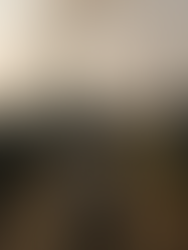 Is Early-Life Exposure to Environmental Pollution Associated With Poverty in Adulthood?