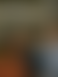 Do Black and Hispanic Homeowners Earn Lower Housing Returns Than White Homeowners?