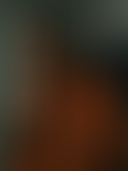 Does Sending Financial Crime Offenders to Prison Reduce Financial Misconduct?