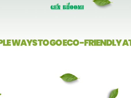 Clean Earth, Green Future: 5 Simple Ways to Go Eco-Friendly at Home