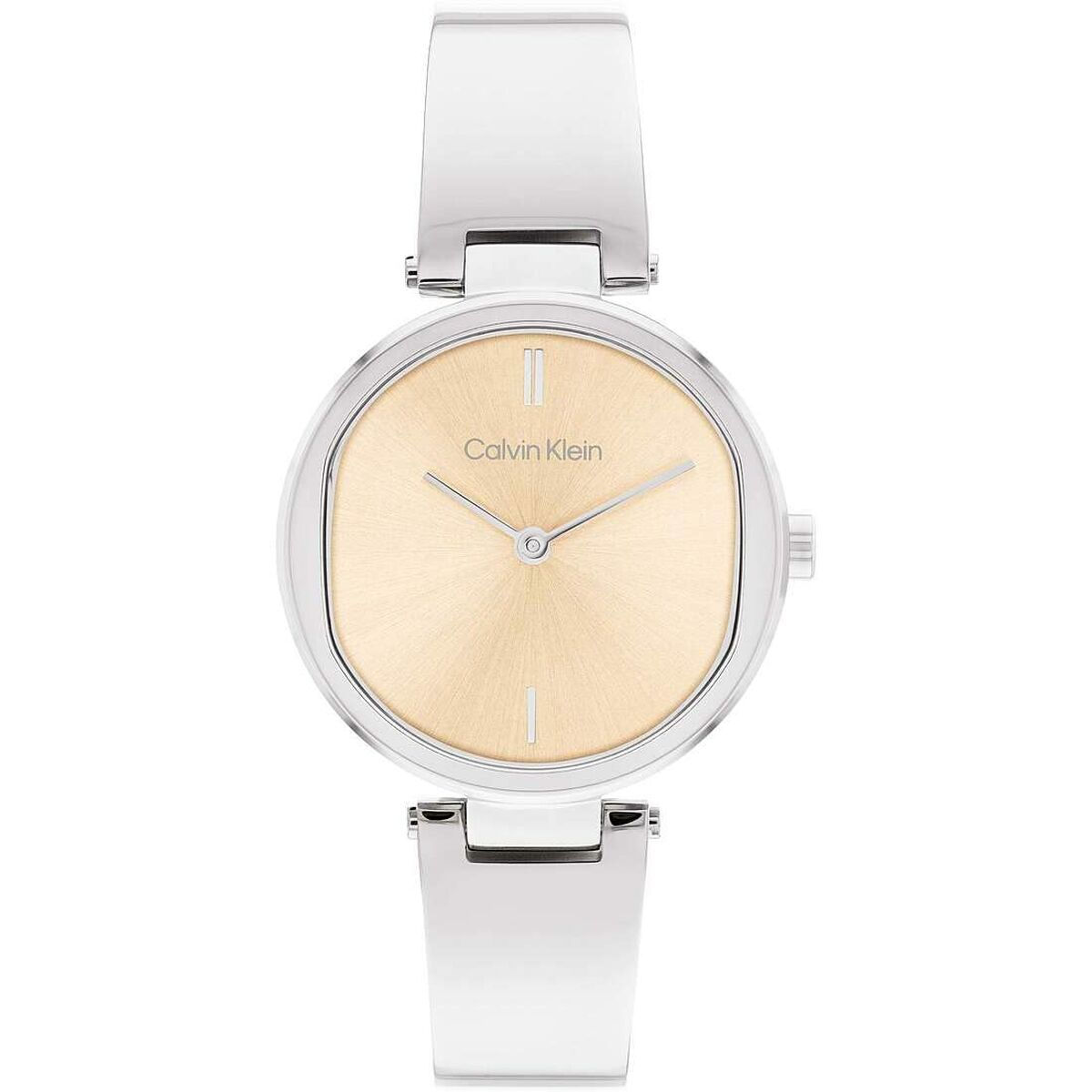 Orologio Donna Calvin Klein 25200311
