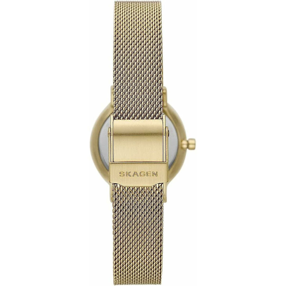 Miniatura: Orologio Donna Skagen SKW3084