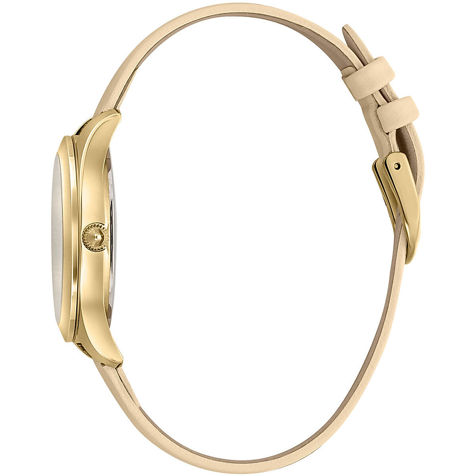 Miniatura: Orologio Donna Just Cavalli JC1L210L0015