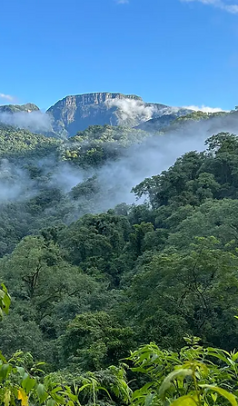 paisaje-parque-nacional-calilegua_edited